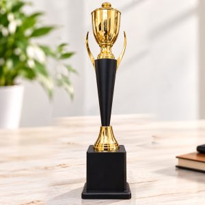 Premium gold and black victory trophy