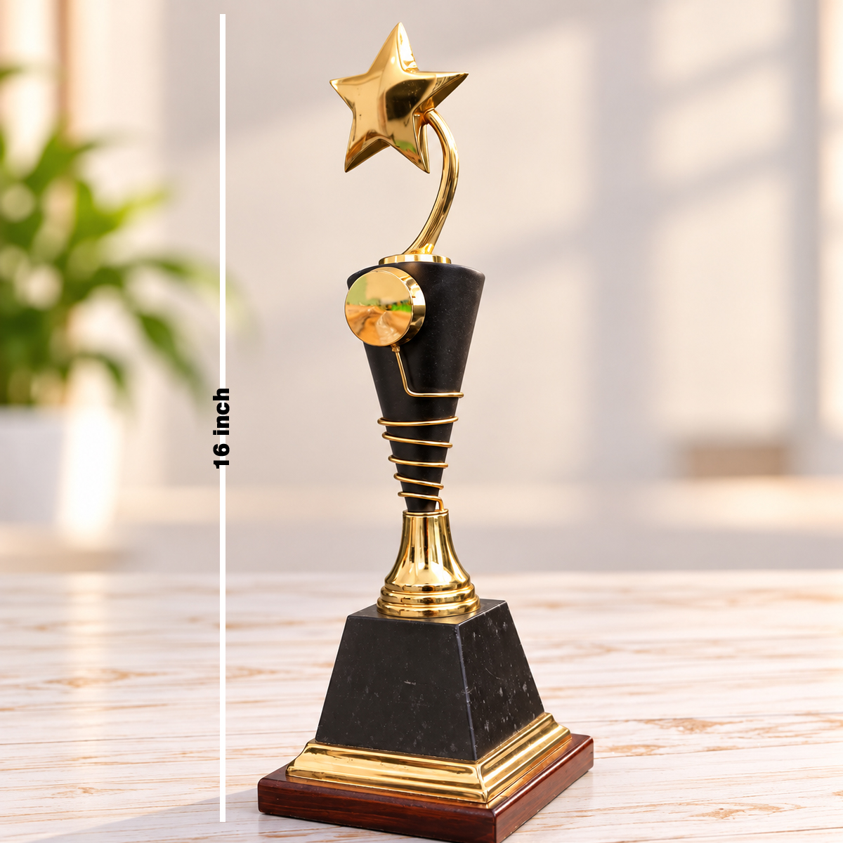 corporate award 16inch