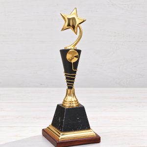 Premium gold star achievement trophy