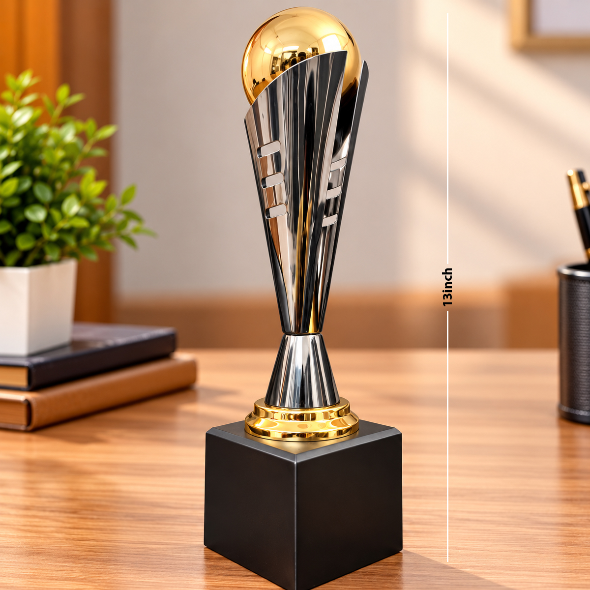 Corporate Achievement & Excellence Awards 13inch